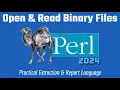 Learn Perl Programming In 2024 Open Read Binary Files