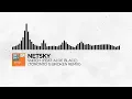 Netsky - Snitch (feat. Aloe Blacc) [Toronto is Broken Remix] [Monstercat Remake]