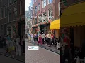 Download Lagu Studying at VU Amsterdam more than lectures
