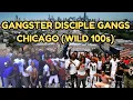 Inside Chicago s Wild 100s The Rise of the Gangster Disciples Gangs