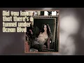 Margaret - Lana Del Rey (TikTok version w Layered Vocals + Reverb)