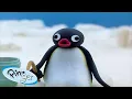 Download Lagu Best Episodes from Season 3 | Pingu - Official Channel | Cartoons For Kids
