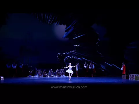 EL CORSARIO (2018) - Kochetkova, Cornejo y Simkin - www.martinwullich.com