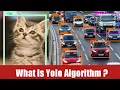 What is Yolo Algorithm OpenCV Vs Yolo