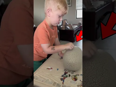 This Giant Egg Started Cracking...Then This Happened!🤯