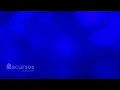Navy Blue Background - Loop 4K