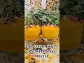 Download Lagu @DeepshikhaHomeKitchen No cream, Hi Protein 2 ingredient Mango Mousse❤️ #shorts #viral #trending