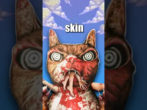 SILLY CAT INCIDENT! 😾