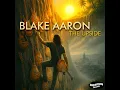 The Upside - Blake Aaron