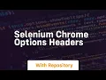 selenium chrome options headers