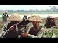 Download Lagu TRẬN ĐÁNH HAY NHẤT - Cuộc Chiến Trên Bầu Trời Hà Nội | Phim Lẻ Chiến Tranh Việt Nam ĐẶC SẮC