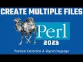 Perl Programming - Create Multiple Text Files 2023