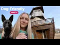 Overnight in Dog-Friendly OMG AirBnBs
