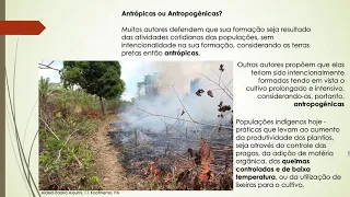 O que é Terra Preta de Índio?