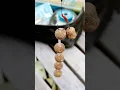 This Is a Classic Boilie Fishing Tactic For Big Carp The Stringer Rig