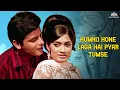 Download Lagu Humko Hone Laga Hai Pyar Tumpe | Lata Mangeshkar | Shashi Kapoor | Rajshree | Dil Ne Pukara