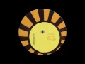 James Holden ‎– I Have Put Out The Light (Original Mix)
