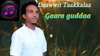 Daawwit Taakkalaa Gaara Guddaa New Ethiopian Oromo Music 2025 
