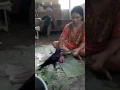 Download Lagu Burung gagak membuat kue....