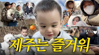 [VLOG] 하루만에 적응 완료⁉️ 웃음이 끊이지 않는 제주 (새별오름, 성이시돌목장, 제주동문시장, 로컬맛집) 썸네일