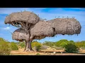 Download Lagu 15 Most Amazing \u0026 Largest Nests in The Animal World