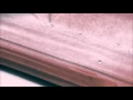 Download Lagu Nano Coating toegepast op hout dakpan glas
