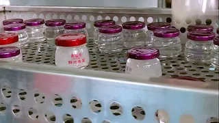 Bird nest jars filling capping equipment