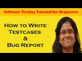 How to Write Testcases Bug Report in Software Testing Live Session