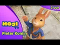 DE MEGA PIETER KONIJN COMPILATIE π° | DEEL 46 β¨ | Nederlandse Kinderseries | MojiTV