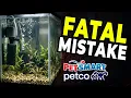 Where Aquarists Save the Most MONEY PetSmart vs PetCo Aquarium Setup