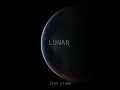 Healing - Zion Llama