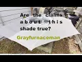 Are the claims about this shade accurate