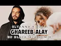 Download Lagu Elyanna x Balti - Ghareeb Alay (DJ Blackjack Remix)