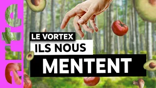 Et pourtant on les croit : les CHARLATANS du web @LExtracteur  @Modiie I ARTE