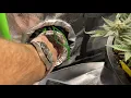 The secrets of air exchange