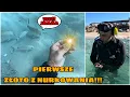 Lagu PIĘKNY PIERŚCIONEK PRÓBY 750! Pierwsze złoto z nurkowania w Albanii!