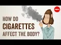 Download Lagu How do cigarettes affect the body? - Krishna Sudhir