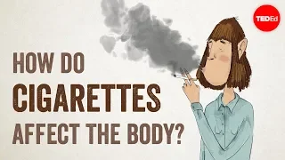how do cigarettes affect the body krishna sudhir