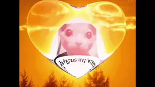 low quality bingus gif compilation