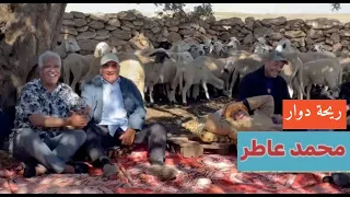 ريحة الدوار بالصوت والصورة اض ح ك م ع محمد عاطر 