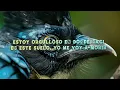 La T y La M - Argentino yo soy