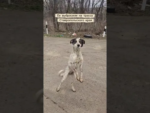 Вот так может изменится жизнь на До и После🔥Дафну я подобрала, продолжение в коментариях...