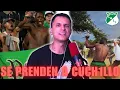 Download Lagu LA BARRA BRAVA MAS PELIGROSA DE COLOMBIA | REACCIÓN | El muñe