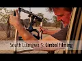 Download Lagu Filming Wildlife from a Moving Vehicle with a Gimbal | South Luangwa National Park Ep5