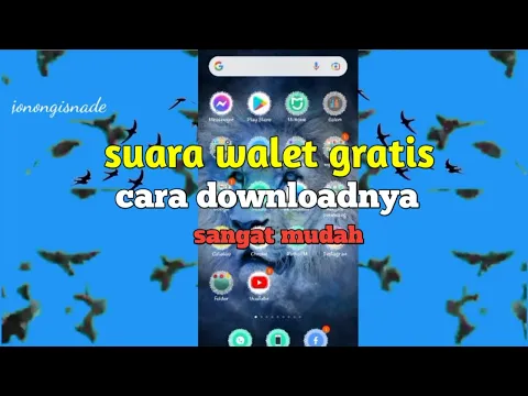 Download MP3 suara burung walet gratis, cara downloadnya sangat mudah