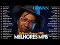 Lagu Música MPB Antigas | MPB Mais Tocadas Playlist 2025 | Djavan, Almir Sater, Ana Carolina#mpb