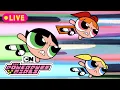 Download Lagu 🔴 LIVE | Best of Powerpuff Girls 🩷🩵💚 | Cartoon Network