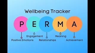 Task PERMA wellbeing tracker overview