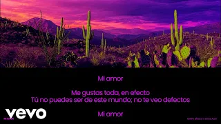 Nanpa Básico, Steve Aoki - Mi amor (Letra/Lyrics)