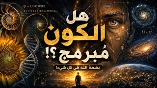                                                                            دندنها